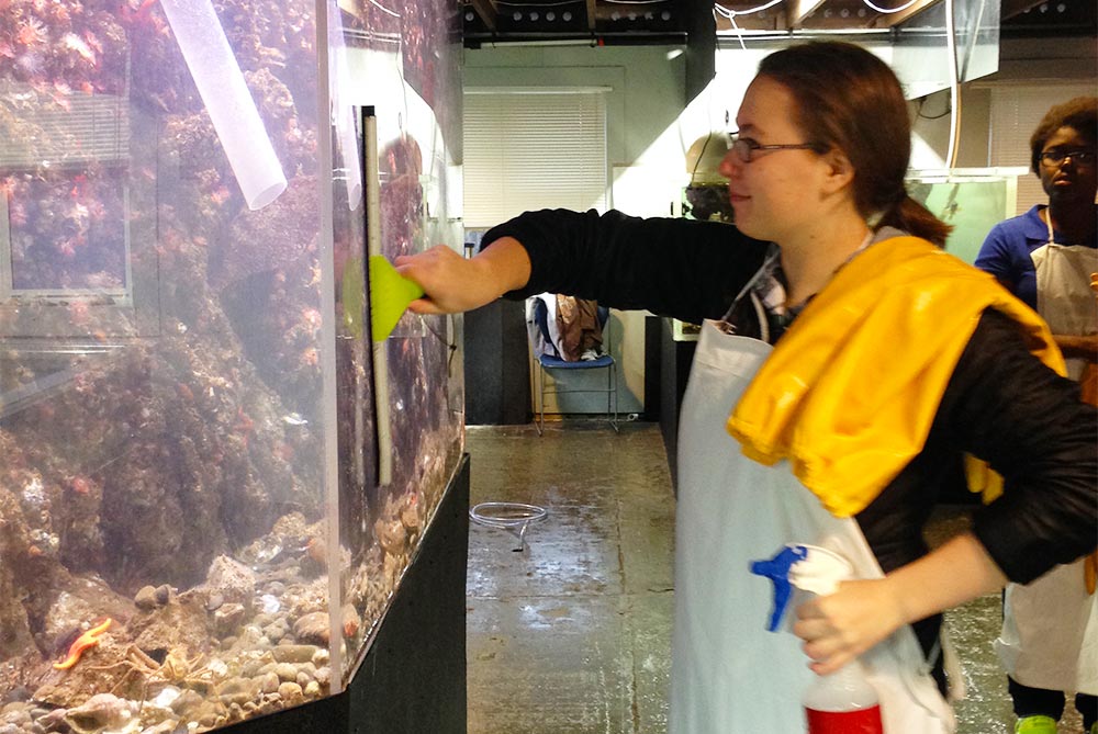 MaSTAquariumTankCleaning » MaST Center