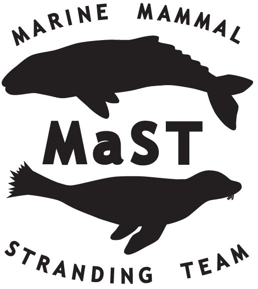 MaST Center Marine Mammal Stranding Team logo