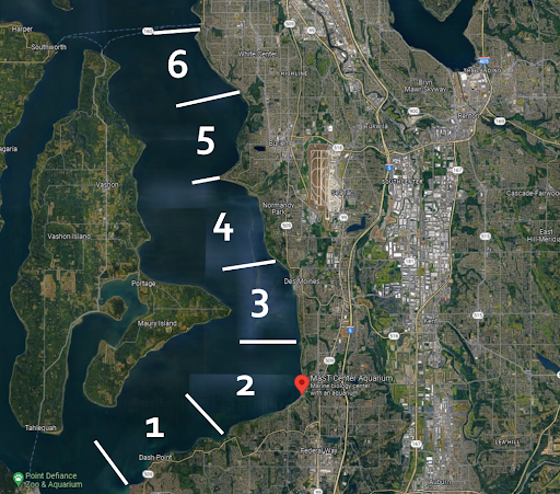 MaST Marine Mammal Stranding Network range from West Seattle to Tacoma