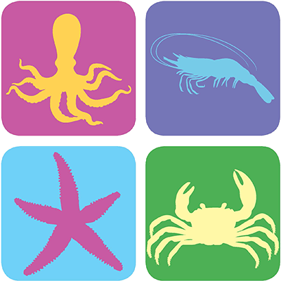 Woodmont Library Sea Critter Story Times